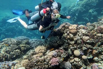 Intro Scuba Diving for Beginners and Snorkeling in Hurghada - Image 2