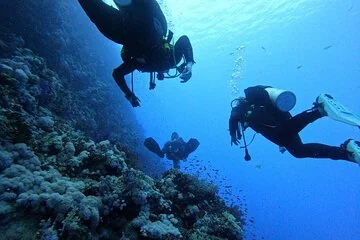 Intro Scuba Diving for Beginners and Snorkeling in Hurghada - Image 3
