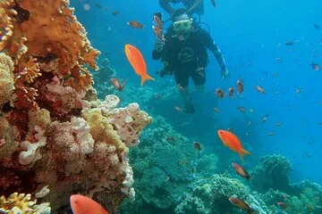 Intro Scuba Diving for Beginners and Snorkeling in Hurghada - Image 4