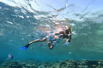 Orange Bay Island, Snorkeling, Water sports and Lunch - Image 2