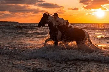2-Hour of Horse Riding Experience by the Sea in Sharm El-Sheikh