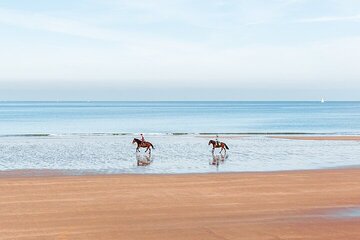 2-Hour of Horse Riding Experience by the Sea in Sharm El-Sheikh - Image 2