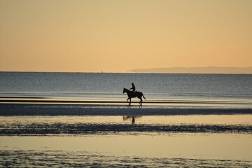 2-Hour of Horse Riding Experience by the Sea in Sharm El-Sheikh - Image 3