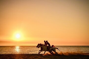 2-Hour of Horse Riding Experience by the Sea in Sharm El-Sheikh - Image 4