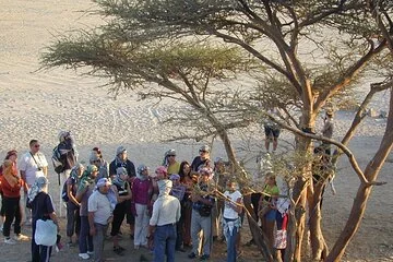 Private Quad Bike safari in Hurghada - Image 2