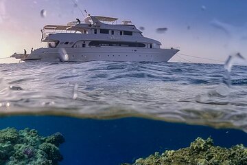 Snorkel, Dive, Island, Watersports and Seafood Lunch VIP Sea Trip - Image 2