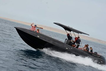 Dolphin Speed Boat Trip with Underwater Island - Image 1