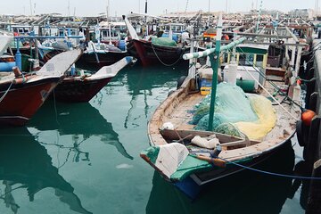 North Qatar Guided Expedition to Nature Charms - Image 1