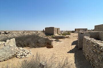 North Qatar Guided Expedition to Nature Charms - Image 4
