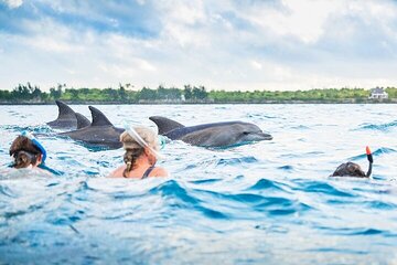 Hurghada Full Day Adventure with Dolphin Swim and Lunch - Image 1