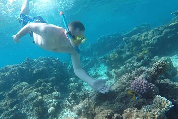 Hurghada Full Day Adventure with Dolphin Swim and Lunch - Image 4