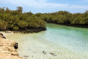 Ras Mohammed national park by bus + Snorkeling - Image 3