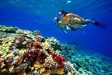 Hamata and Qulaan Islands Snorkeling Trip From Marsa ALam - Image 3
