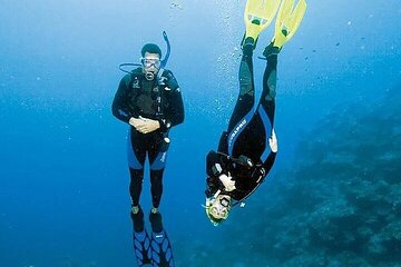 Marsa Mubarak Snorkeling Sea Trip with Transfer and Lunch - Image 4