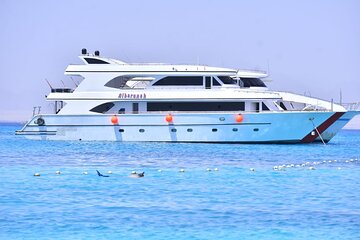 VIP Full Day Dolphin House Trip by Luxury Boat and Water Sports - Image 4