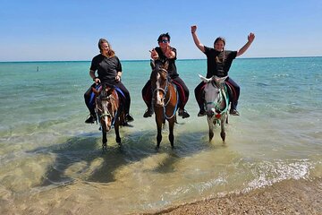 Desert & Sea Adventure – 3-Hour Horse or Camel Riding Experience - Image 1