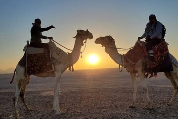 Desert & Sea Adventure – 3-Hour Horse or Camel Riding Experience - Image 3