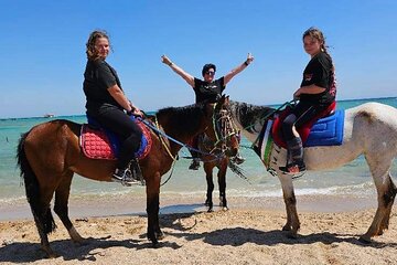 Desert & Sea Adventure – 3-Hour Horse or Camel Riding Experience - Image 4