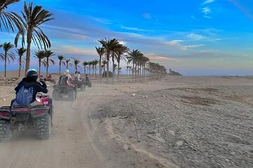 Desert Quad Bike Safari with Camel Ride from Marsa Alam - Image 1