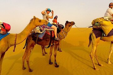 Desert Quad Bike Safari with Camel Ride from Marsa Alam - Image 4
