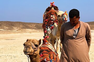 Quad and Camel Safari Trip in Sharm El-Shaikh - Image 3