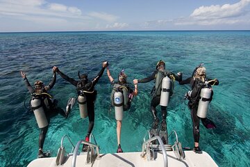 Full-Day Snorkeling and Scuba Diving Excursion in Hurghada - Image 3