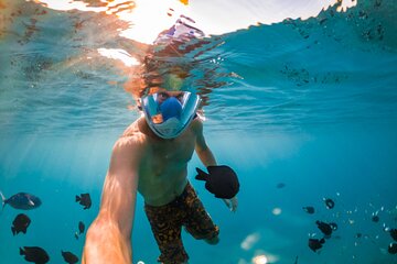 Snorkelling Adventure with Dugongs and Turtles in Marsa Mubarak - Image 2