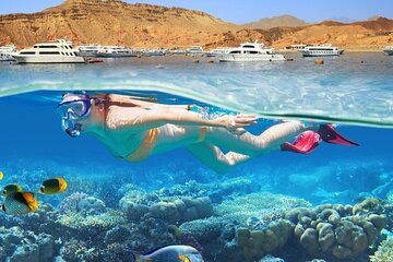 Snorkelling Adventure with Dugongs and Turtles in Marsa Mubarak - Image 3