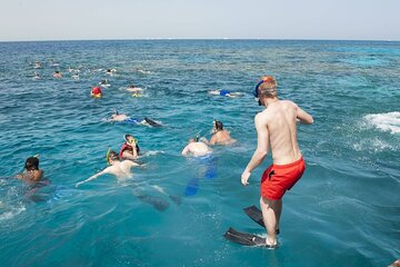 Snorkelling Adventure with Dugongs and Turtles in Marsa Mubarak - Image 4