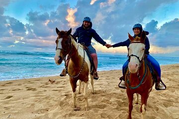 Sharm El Sheikh Horseback Riding with Pickup and Drop-off - Image 2