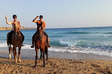 Sharm El Sheikh Horseback Riding with Pickup and Drop-off - Image 4