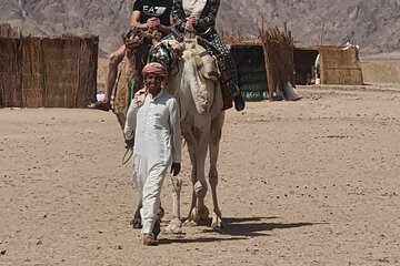 3 Hour Quad Biking Bedouin Village and Camels in Hurghada - Image 3