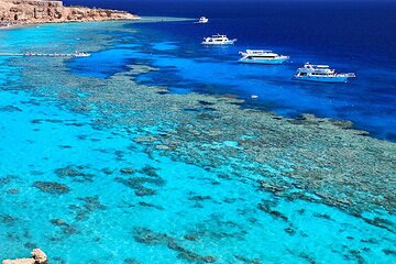 Ras Mohamed & White Island Diving & Snorkeling Trip with Lunch - Image 1