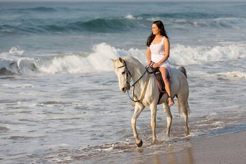 Horseback Riding with Pickup and Drop-off from Sharm El Sheikh - Image 1