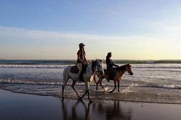 Horseback Riding with Pickup and Drop-off from Sharm El Sheikh - Image 2