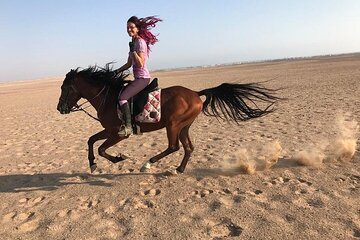 Horseback Riding with Pickup and Drop-off from Sharm El Sheikh - Image 4