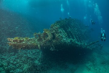 Scuba Diving Trip in El Gouna Two Dives - Image 3