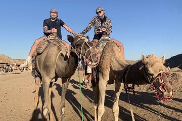 Full Day Super Safari ATV Quad, Camel Ride, Dinner and Show - Image 1