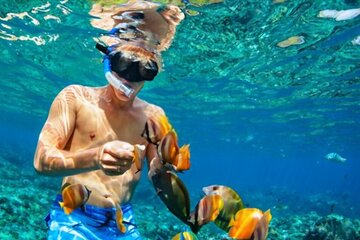 Tiran Island Snorkeling Excursion - Image 4