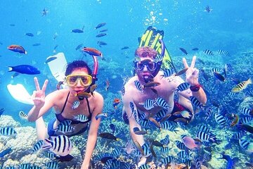Excursion to White Island and Ras Mohamed from Sharm El Sheikh - Image 2