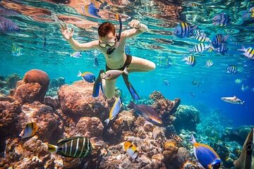 Excursion to White Island and Ras Mohamed from Sharm El Sheikh - Image 3