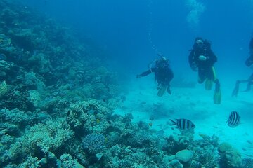 Private sea trip Hurghada - Image 3