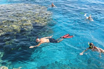 Adventure Snorkeling Tour To Ras Mohamed By Bus group tour - Image 3