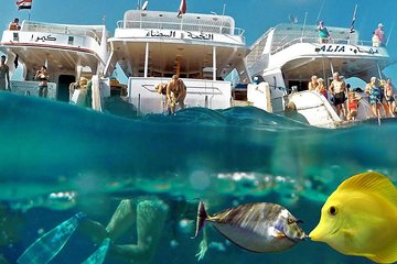 Adventure Snorkeling Tour To Ras Mohamed By Bus group tour - Image 4