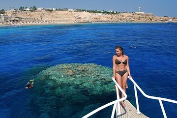 Snorkeling tour by boat and Intro Diving adventure - Image 3