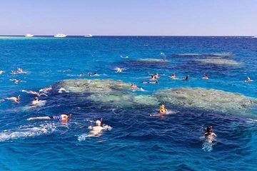 Snorkeling tour by boat and Intro Diving adventure - Image 4