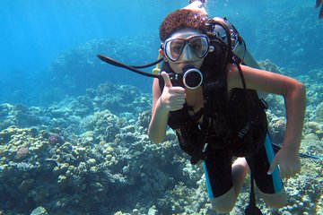 Diving & Snorkeling Boat Trip to Ras Mohamed Sharm El Sheikh - Image 2