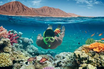 From Hurghada: Paradise Island Full-Day Snorkeling Tour - Image 2