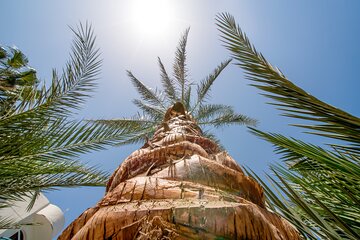 Hurghada: Guided City Highlights Tour with Shopping Stops - Image 4