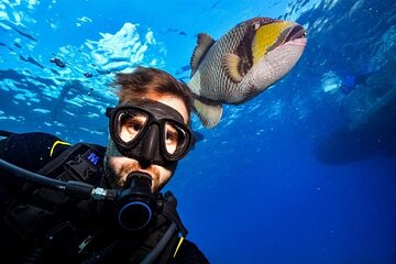 Sharm El Sheikh: Ras Mohamed, White Island, Snorkel and Diving - Image 2